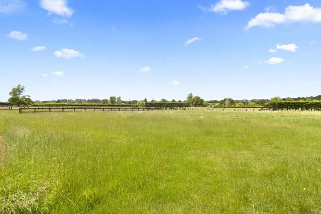 33 Jamieson Road Buckland_3