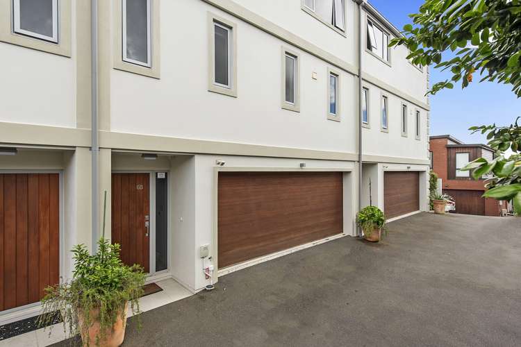 6b Clifton Road Hamilton Central_19