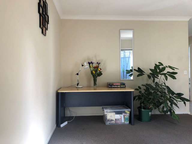 5 Plantation Avenue Flat Bush_3