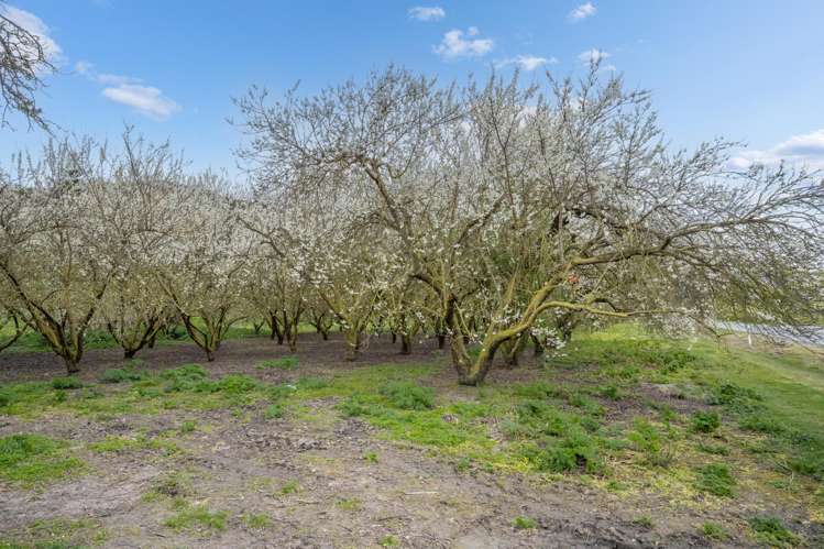 4.0541ha, 0 Ettrick-Raes Junction Road Millers Flat_6