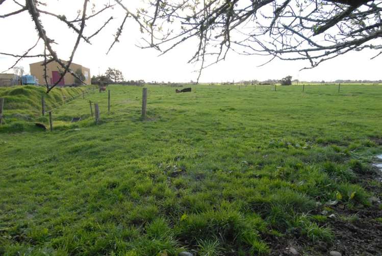 9 Oparara Road Karamea_24