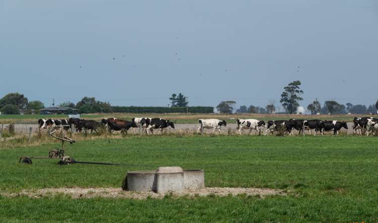 558 Seadown Road Seadown_19