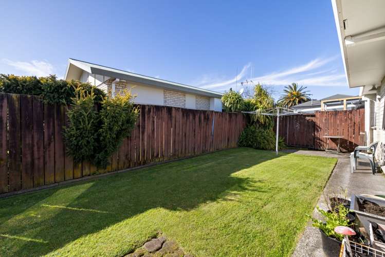 55A Sixteenth Avenue Tauranga South_7