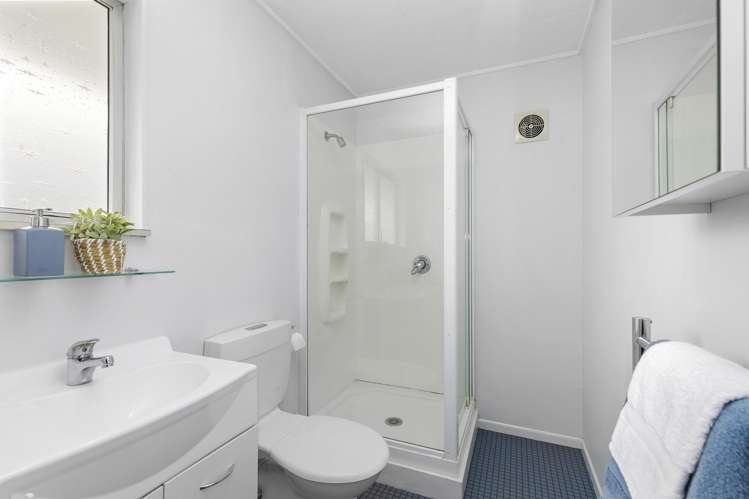 3E Manchester Street Petone_11