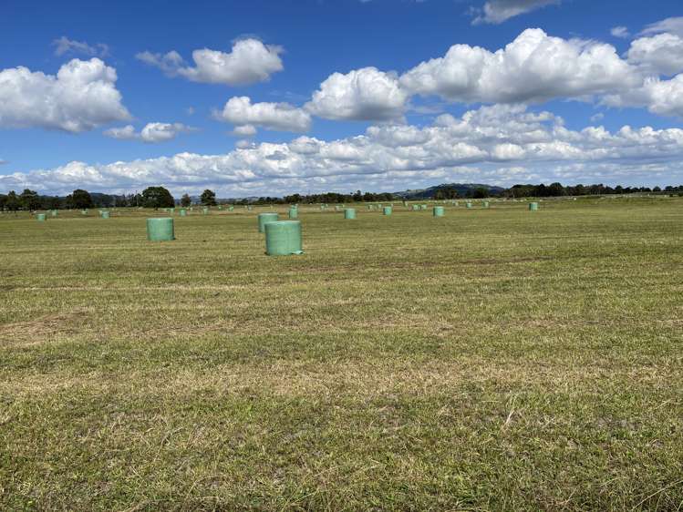 112 Mountain View Road Hikurangi_12