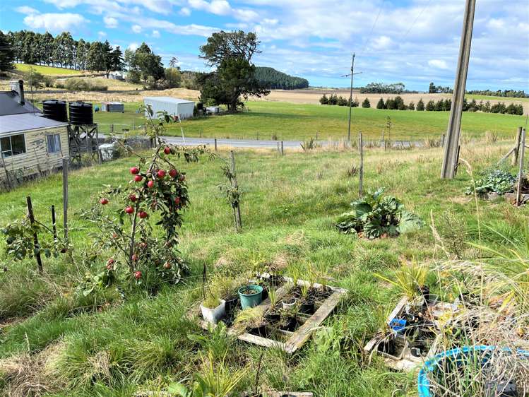 180 Waiwera Station Road Clinton and Surrounds_20