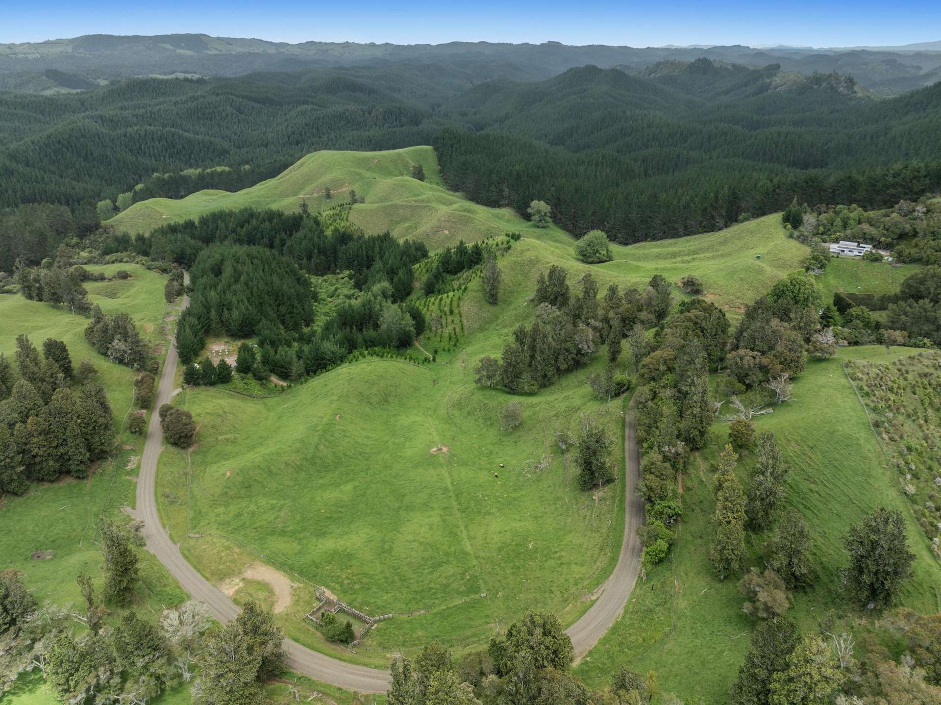 26 Settlement Road Pikowai_0