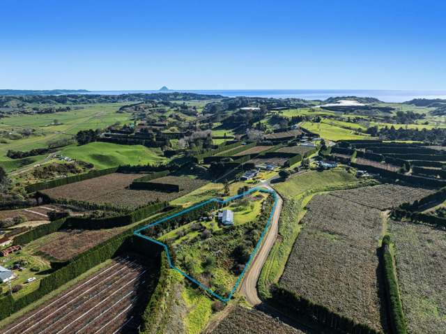 501 Paerata Ridge Road Opotiki and Surrounds_3
