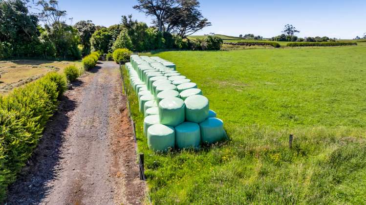 Upland Road Egmont Village_8