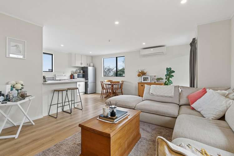 9 Ballance Street Kihikihi_2