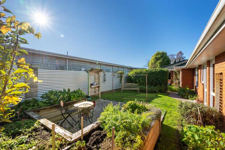 65 Colemans Road Springlands_27