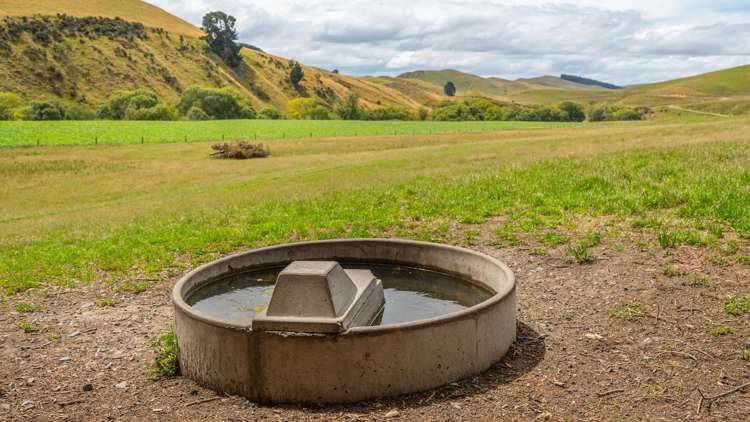 2 Cotswold Road Omihi_15