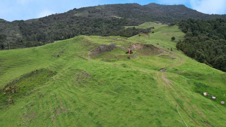 1896 Omana Road Pukehuia_10