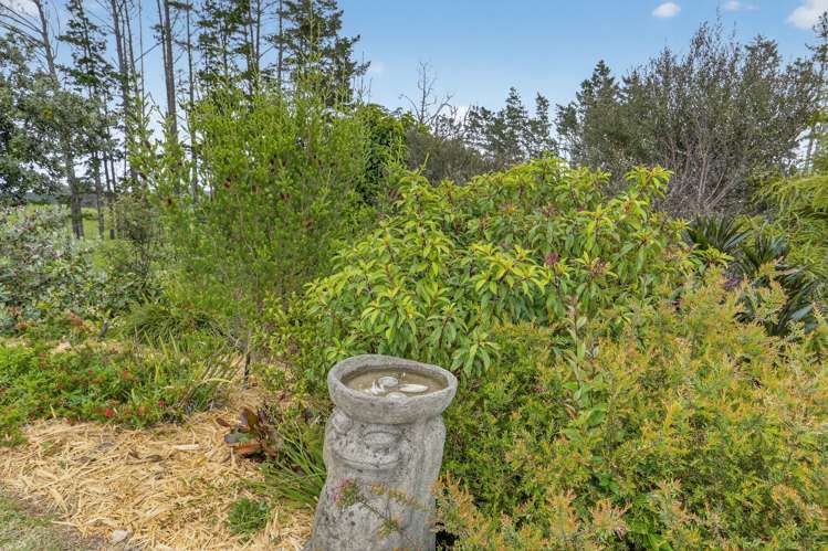 1893 Paparoa Valley Road Paparoa_31