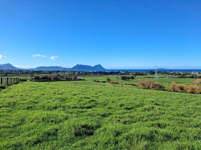 LIFESTYLE OPPORTUNITY WITH VIEWS