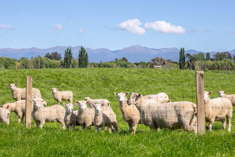 64 Matapihi Road Masterton_16