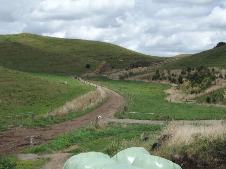 678 Wingrove Road Stratford_14