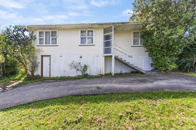 51 Ellis Avenue Mount Roskill_5