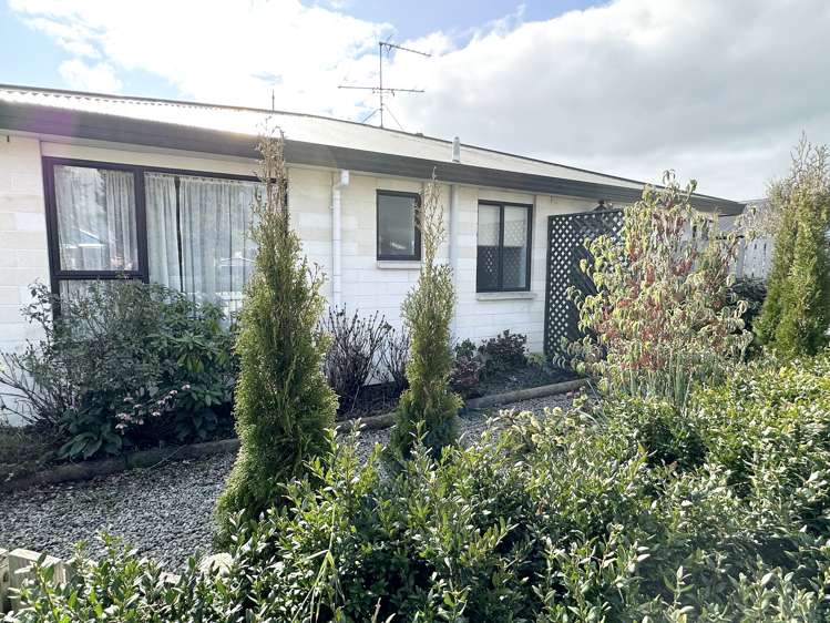 34 Grove Street Tinwald_18