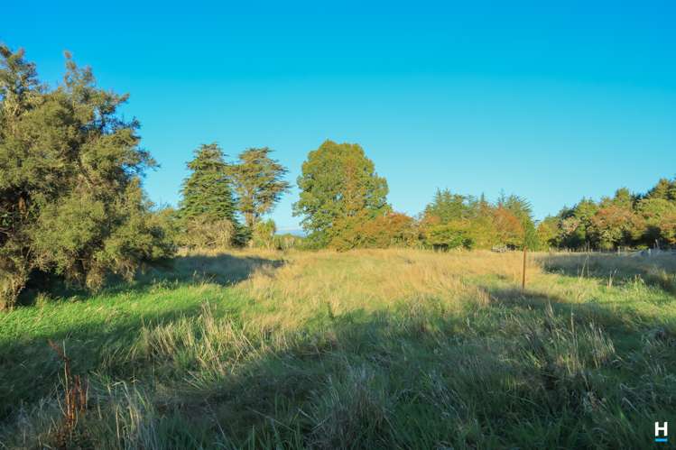 829 Nelson Creek Road Hochstetter_25