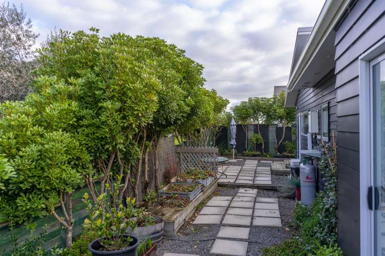 78 Regent Street Martinborough_13