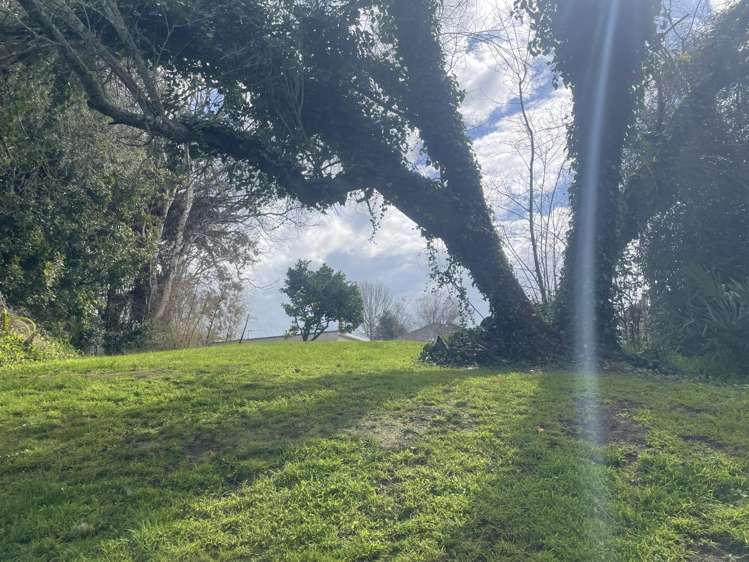 102 Tirau Street Putaruru_12