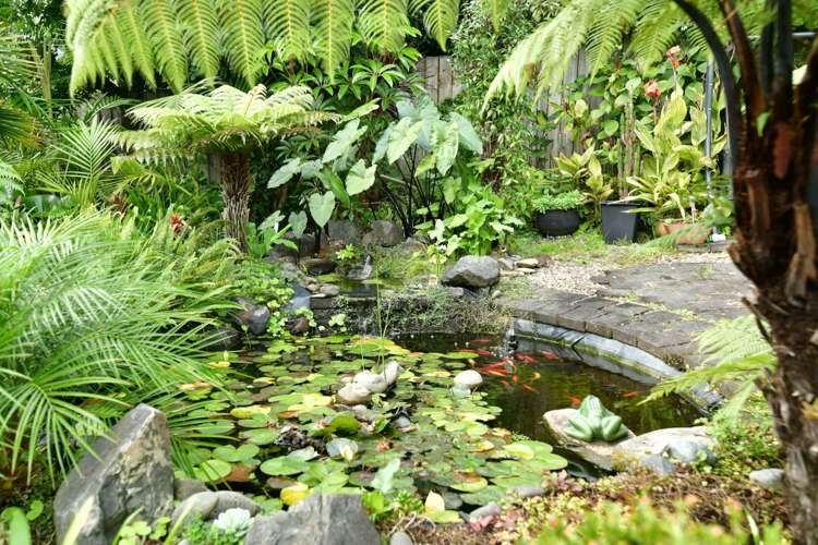 76 Rivervale Grove Stanmore Bay_17