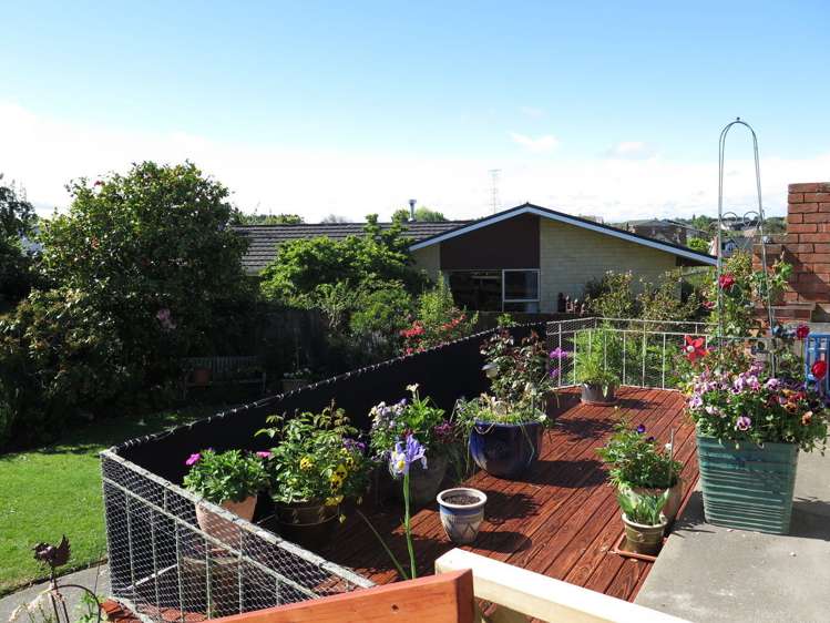 42 Hopkins Street Gleniti_5