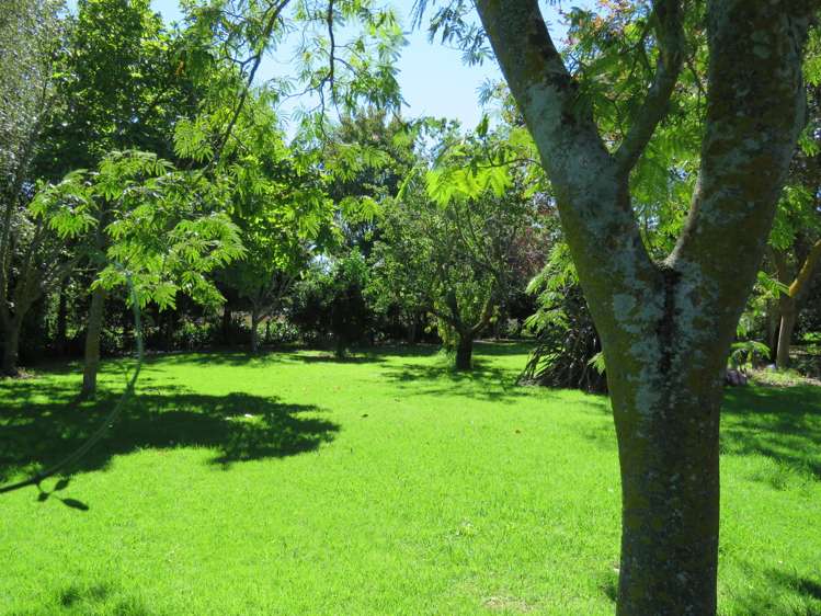 302 Tucker Road Makauri_2