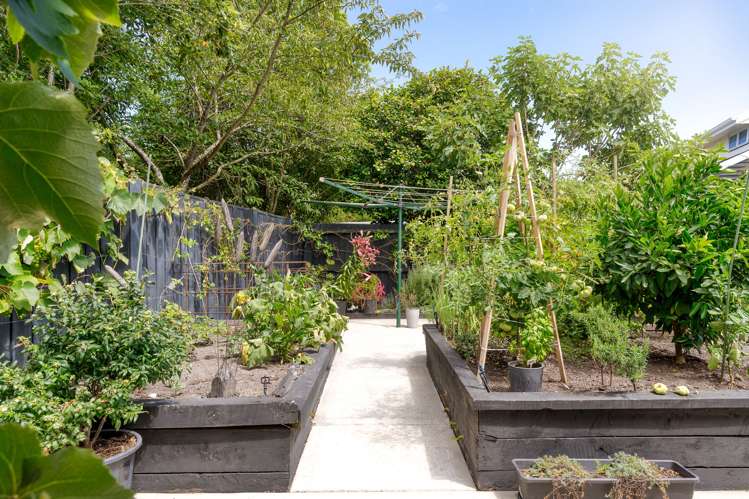 37 Arlington Street Burnside_32