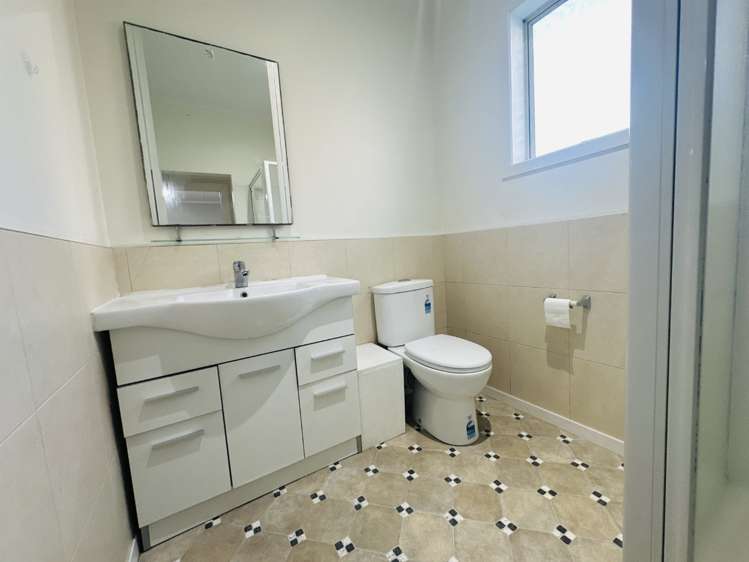 1 Camellia Place Mount Roskill_15