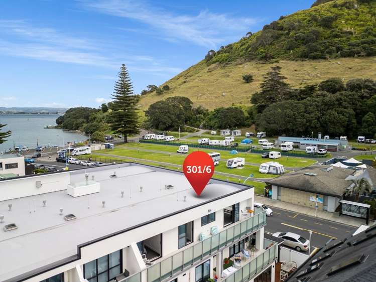 301/6 Adams Avenue Mt Maunganui_12