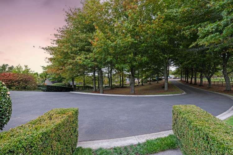 41 Berenice Lane_3