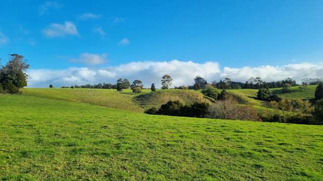 59f Riddell Road Kerikeri_3