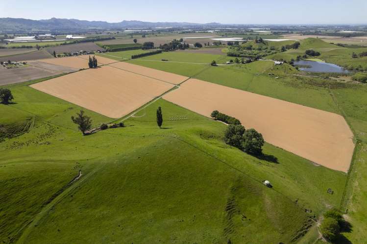 Lavenham Road Waituhi_5