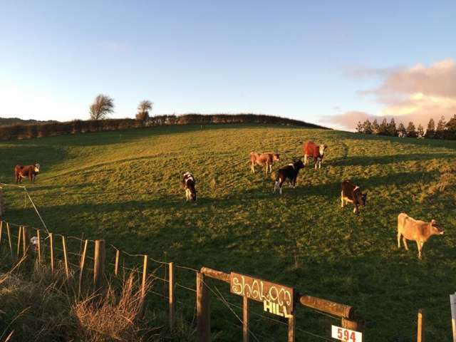 592 Falls Road Waerenga_2