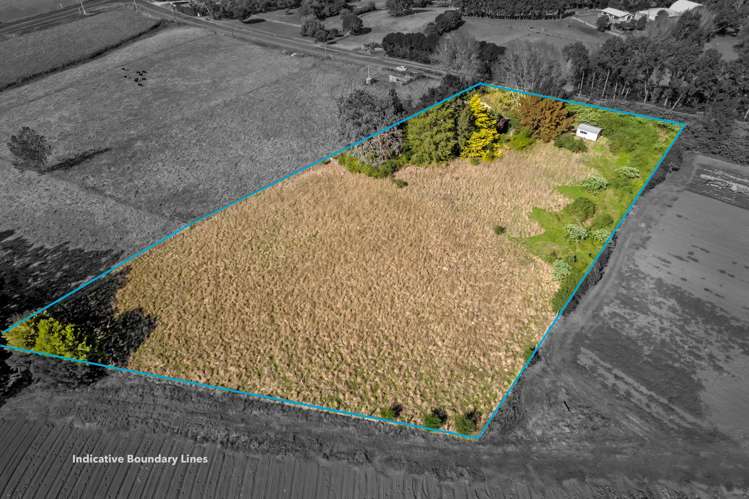 178 Fitzgerald Road Drury_5