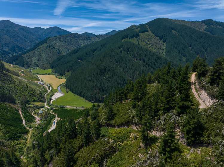 785 Waikakaho Road Tuamarina_16