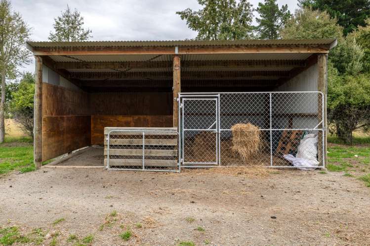 116 Molloys Road Waimate_16