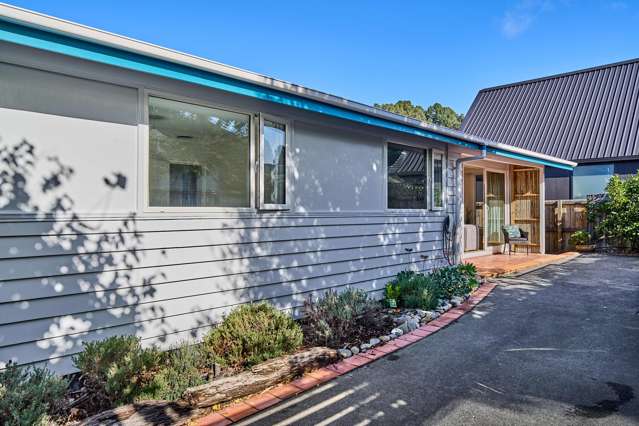 39b Pukatea Street Eastbourne_2