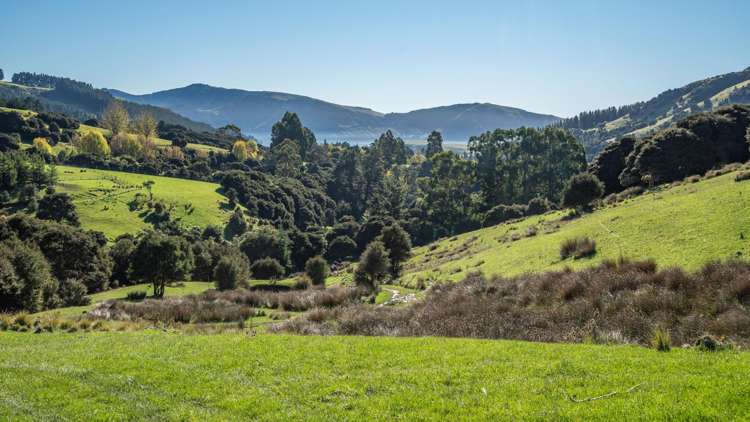 168-240 Purau Port Levy Road Purau_7