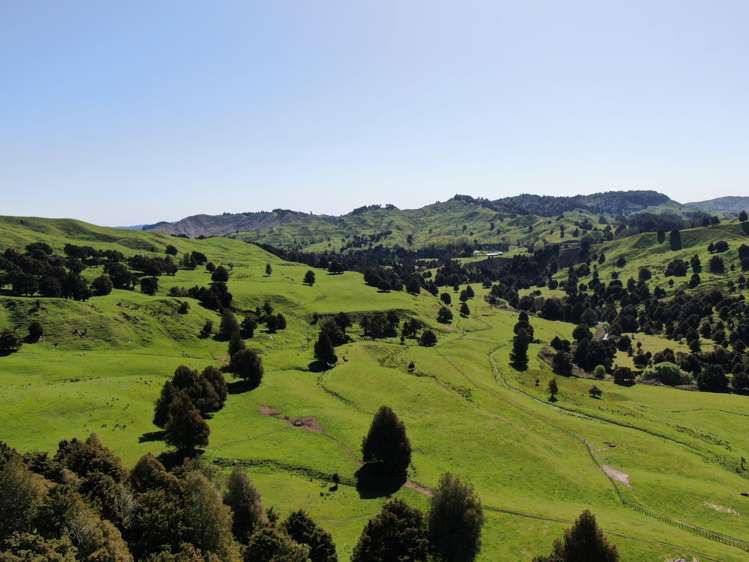 433 Pungapunga Valley Road Taumarunui_3