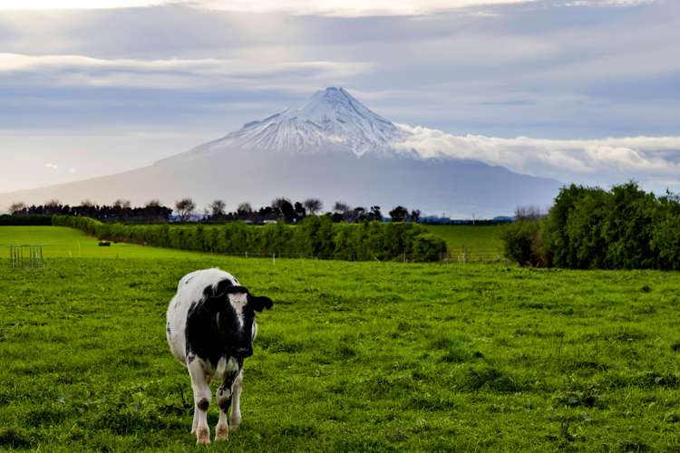 357 Katene Road Normanby_34