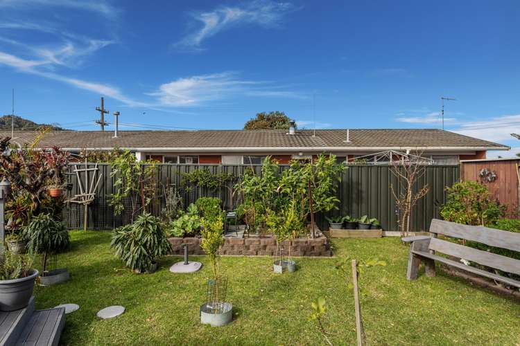254 King Street Whakatane Whakatāne Houses for Sale One Roof