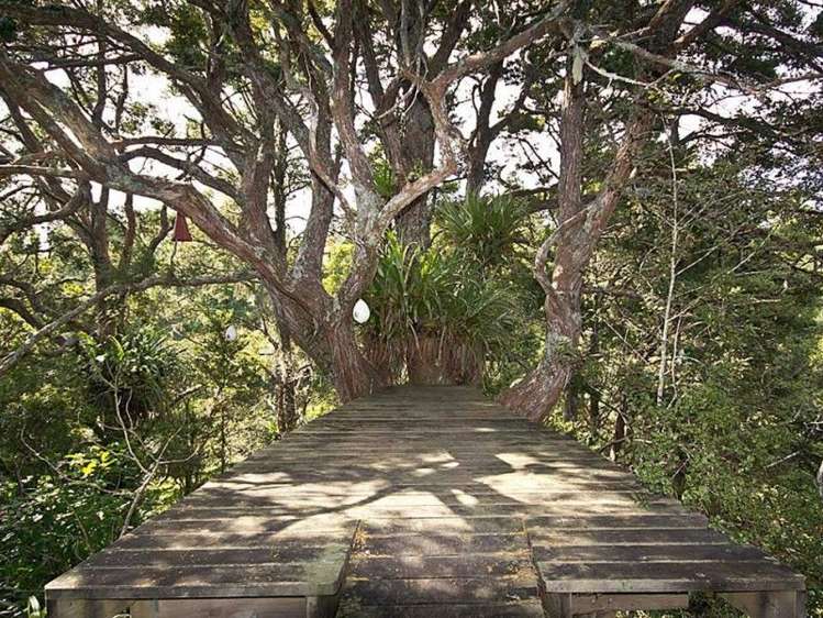 46 Valencia Lane Kerikeri_18