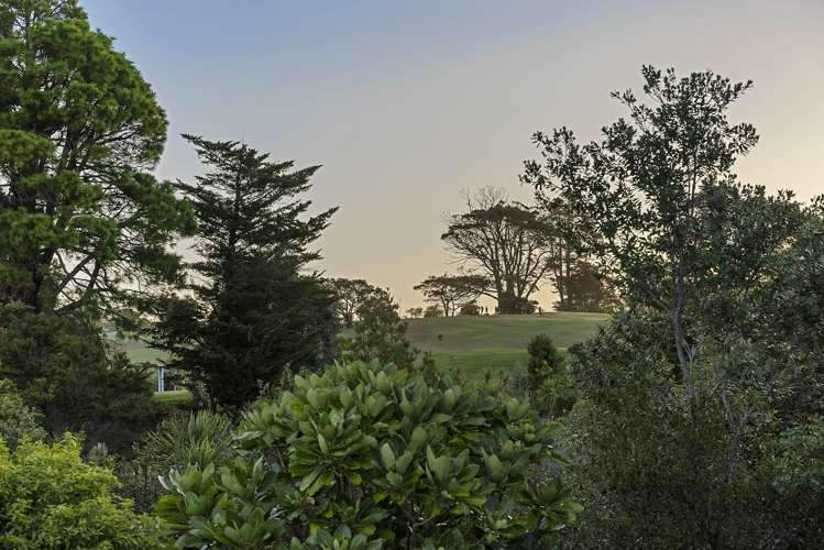 19 Centennial Place Campbells Bay_23