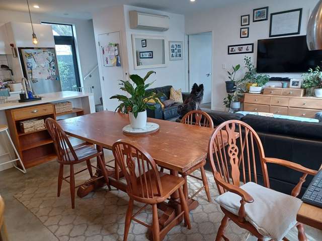 36C Rosewarne Street Spreydon_2