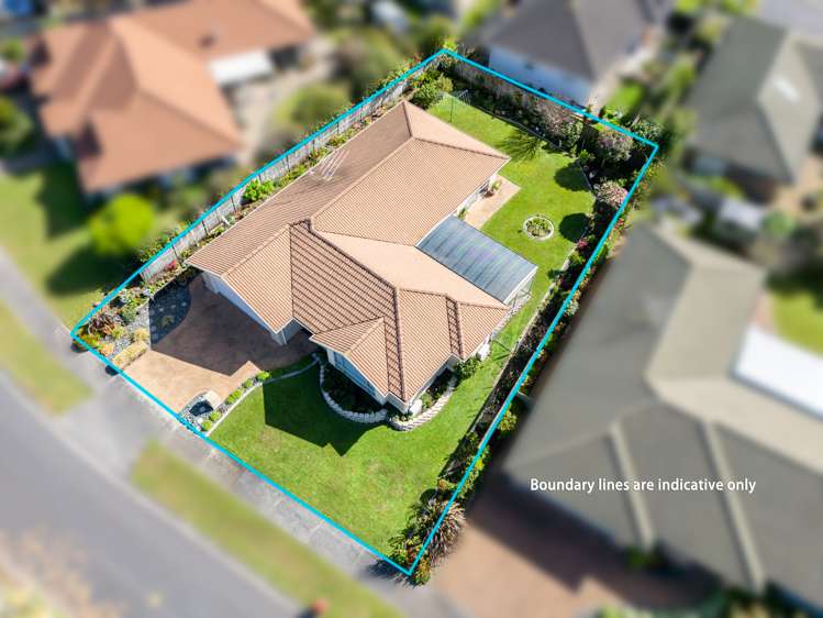 5 Highfields Terrace Henderson_25