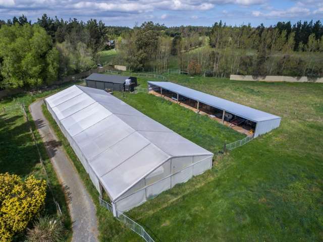 1621 West Coast Road Kirwee_2