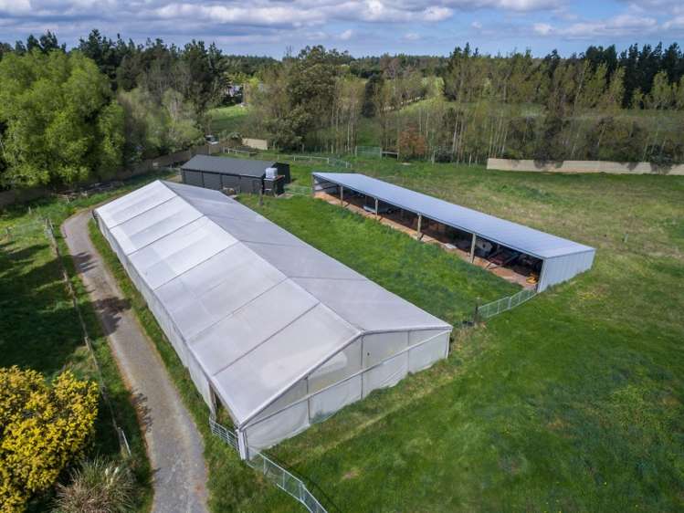 1621 West Coast Road Kirwee_2